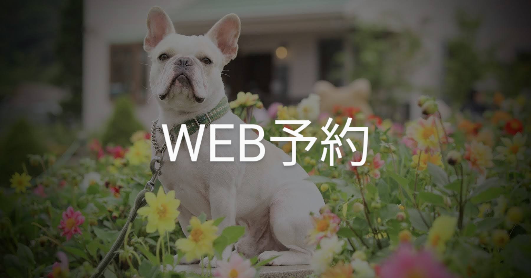 web予約